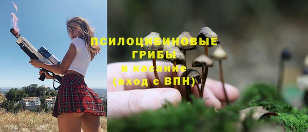 ECSTASY Абинск