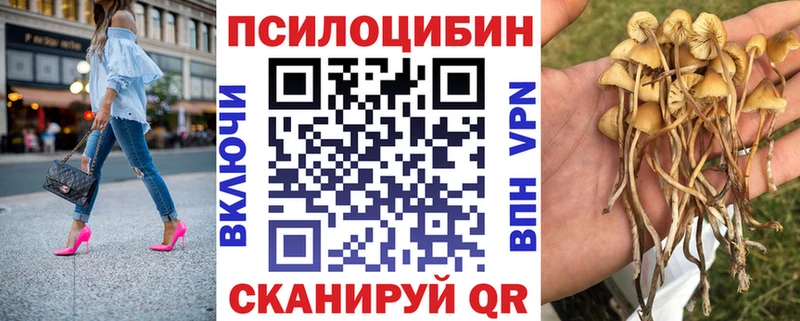 Галлюциногенные грибы Psilocybine cubensis  Челябинск 